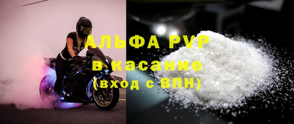 гашик Абаза