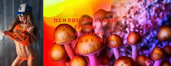 ПСИЛОЦИБИНОВЫЕ ГРИБЫ Абдулино