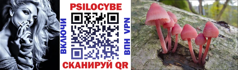 гидра ссылка  Кизилюрт  Псилоцибиновые грибы MAGIC MUSHROOMS 